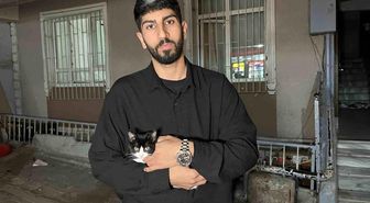 Küçükçekmece'de 7'inci kattan düşen kedi şemsiye ile kurtarıldı