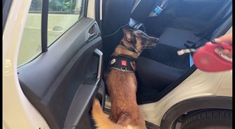 Narkotik köpeği Cessi'den başarılı operasyon