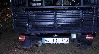 Otomobil ağaca çarptı: 2 yaralı