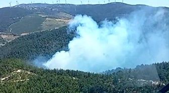 Soma'daki orman yangınına havadan ve karadan müdahale başladı