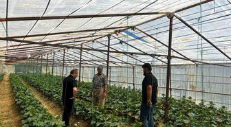 Yüksekova Tarım ve Orman Müdürlüğü ekiplerinden çiftçilere saha desteği