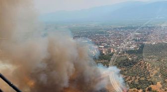 Aydın'da tarım arazisinde yangın