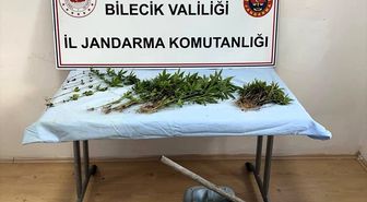 Bilecik'te ormanlık alanda Hint keneviri yetiştiren zanlı yakalandı