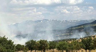 Bingöl'de çıkan orman yangını büyümeden kontrol altına alındı