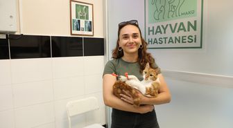 3 boyutlu implantla yeniden yürüyen kedi 'Balım' sağlığına kavuştu