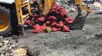 Soma'da bozuk 4 ton midye imha edildi