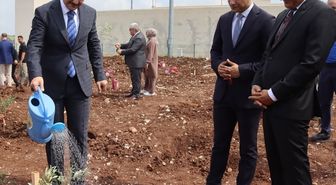 Adana'da hükümlüler 5 bin zeytin fidanını toprakla buluşturdu