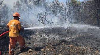 Antalya'da çıkan orman yangınına müdahale ediliyor