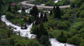 Beyaz örtü kalktı, Rize yaylaları yeşile büründü