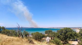 Çanakkale'de tarım arazisinde çıkan yangın kontrol altına alındı