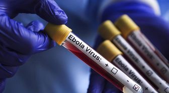 Kongo Demokratik Cumhuriyeti'nde Ebola salgınında vaka sayısı 1155'e yükseldi