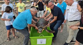 Muğla'da tedavi edilen deniz kaplumbağası 'Şimşek' denize bırakıldı