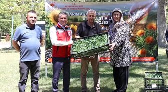 Nevşehir'de üreticilere yüzde 75 hibeli karnabahar ve brokoli fidesi dağıtıldı