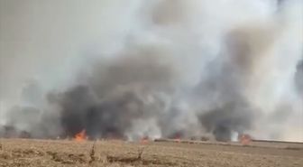 Tekirdağ'da 400 dekar buğday ekili alan yandı