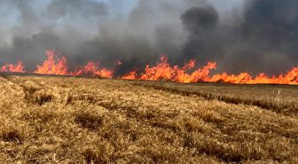 Tekirdağ'da 400 dönüm buğday ekili alan yandı