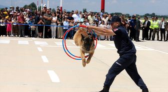 Tokat'ta Türk Hava Kuvvetleri paraşüt ekibi gösteri yaptı
