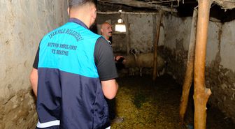 Van'da kuduz vakası sonrası mahalle karantinaya alındı
