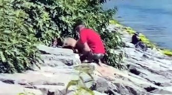 Avcılar Sahili'nde köpeğe şiddet kamerada