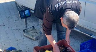 Beyşehir'de avcılara yakın takip