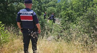 Bilecik'te devrilen otomobilin sürücüsü yaralandı