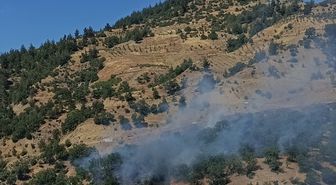 Kahramanmaraş'ta çıkan orman yangını kontrol altına alındı