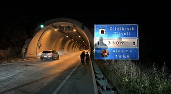 Karabük'te tünelde otomobilin çarptığı bozayı yaralandı