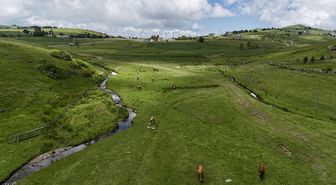 Karadeniz'in doğasıyla öne çıkan Çambaşı Yaylası misafirlerini ağırlıyor