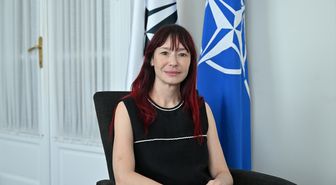 NATO PA Genel Sekreteri: Türkiye güçlü bir müttefik
