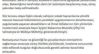 Sokak köpeklerinin saldırısına uğrayan Abdulkadir, yaralandı