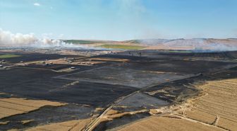 Tekirdağ'da tarlada çıkan yangın söndürüldü
