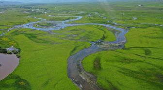 Ardahan'da yeşile bürünen Kura Nehri'nin menderesleri FPV dronla görüntülendi
