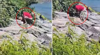 Avcılar sahilinde köpeğe şiddet uygulayan şahıs gözaltına alındı