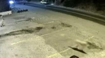 Bodrum'daki ölümlü kazanın güvenlik kamerası ortaya çıktı
