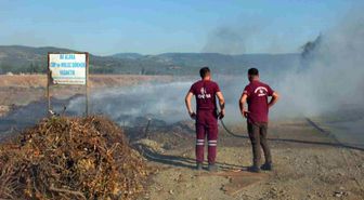 Burhaniye'de Karınca Deresinde çıkan ot yangını 3 saatte söndürüldü