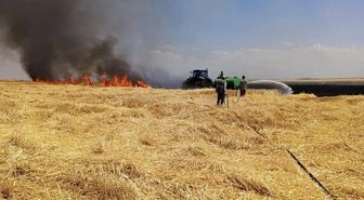 Diyarbakır'da yüzlerce dönüm arazi alevlere teslim oldu