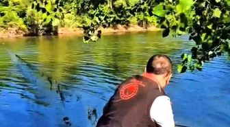 Sakarya'da nehir ve göletlerdeki kaçak ağlar tek tek toplanıyor