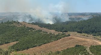 Adana'da anız yangınında alevler ormana sıçradı