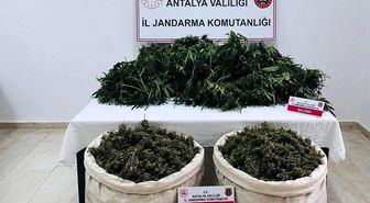 Antalya'da uyuşturucu operasyonunda 11 kilo 100 gram kubar esrar ele geçirildi