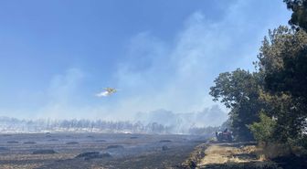 Çanakkale'de tarım arazisinde yangın