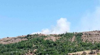 Elazığ'da arazi yangını