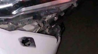 Elazığ'da otomobil domuz sürüsüne çarptı