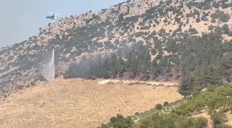Gaziantep'te orman yangını
