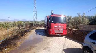 Gaziantep'te zeytinlik alanda yangın