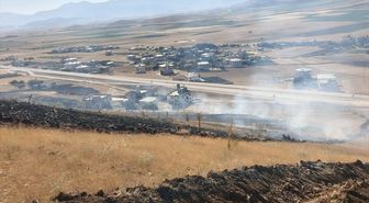 Gaziantep'te zeytinlikte başlayıp ormana sıçrayan yangın söndürüldü