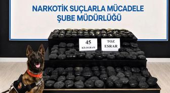 Hakkari'de aranan şahıs 45 kilo uyuşturucuyla yakalandı