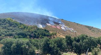 Hatay'da çıkan orman yangını büyümeden söndürüldü