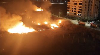 Nusaybin'de sınırdaki mayınlı araziye ulaşan anız yangını 3 saatte söndürüldü