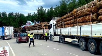 Sinop'ta orman emvali nakilleri denetimi