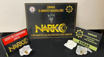 Şırnak'ta kaçakçılık ve asayiş operasyonlarında 1 şüpheli tutuklandı