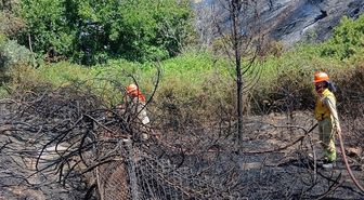 Tarsus'ta otluk alanda çıkan yangın söndürüldü